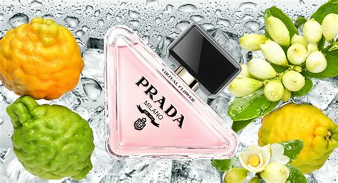 prada flower price|prada paradoxe flower.